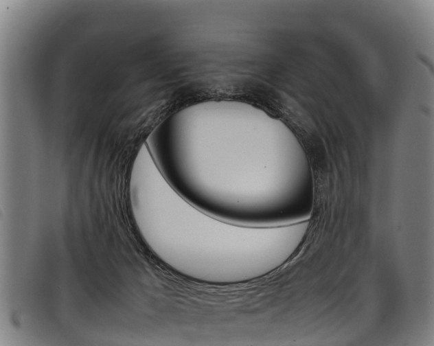 X0000098120029200804040833