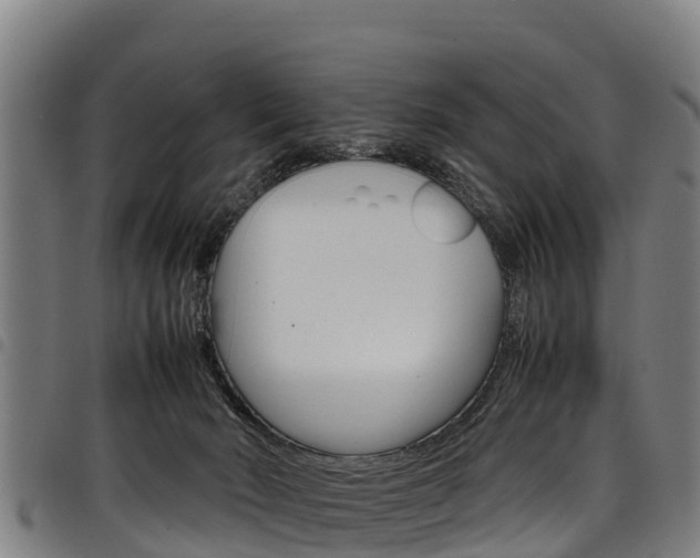 X0000098120030200804040833