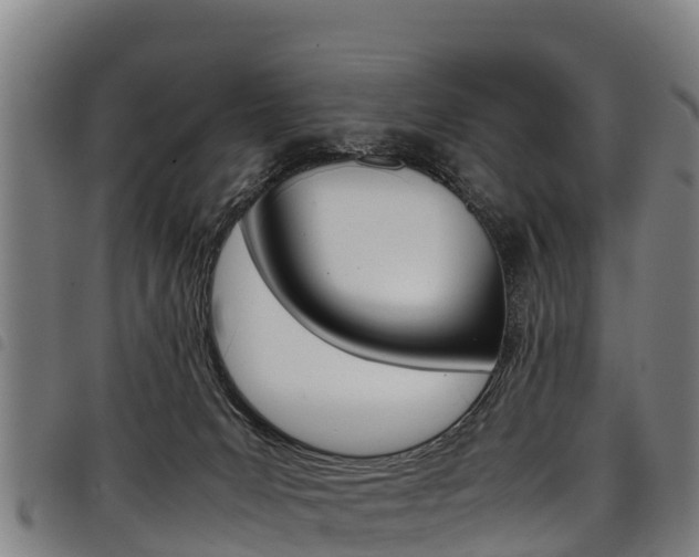 X0000098120031200804040833