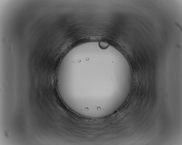 X0000098120032200804040833