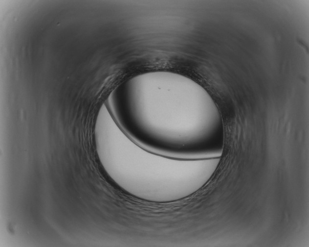 X0000098120035200804040833