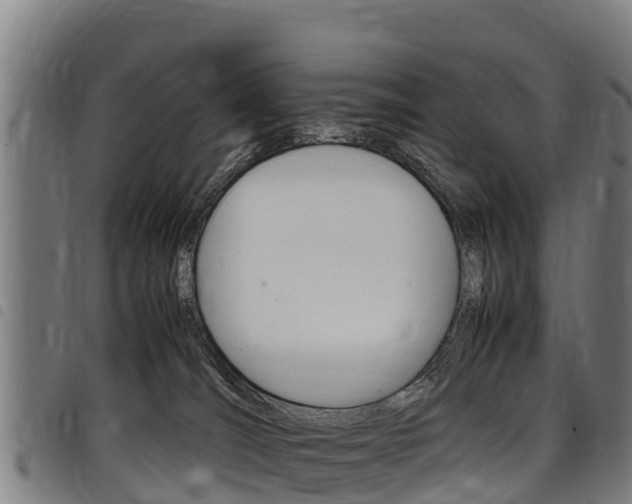 X0000098120036200804040833