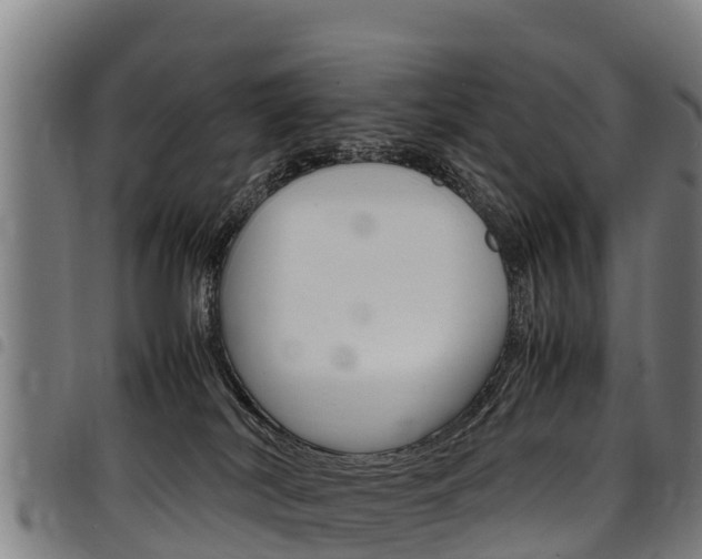 X0000098120038200804040833
