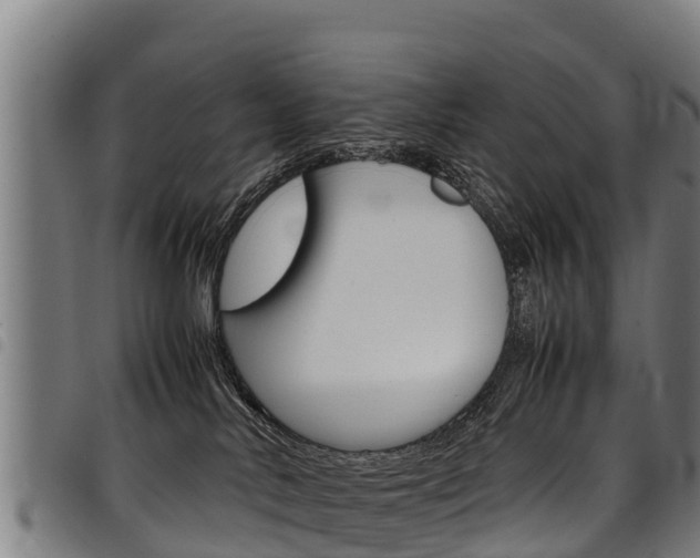 X0000098120042200804040833