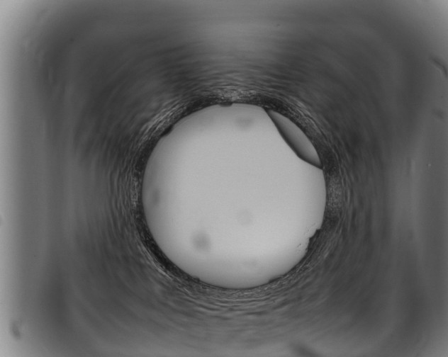 X0000098120043200804040833
