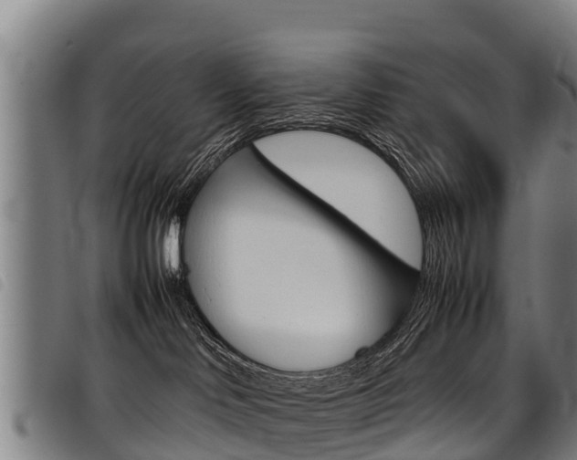 X0000098120046200804040833