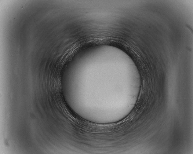 X0000098120048200804040833