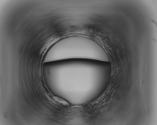 X0000098120050200804040832