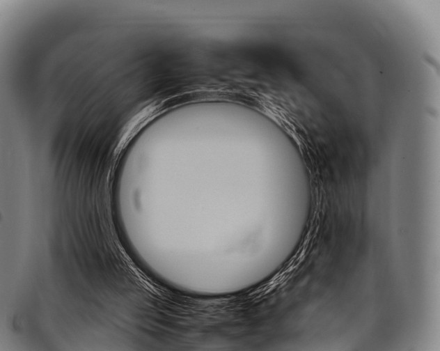 X0000098120053200804040832