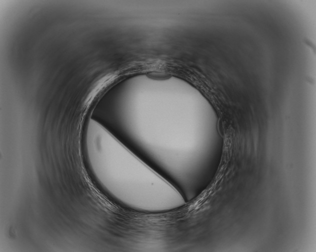X0000098120054200804040832