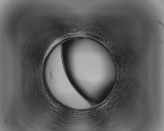 X0000098120056200804040832