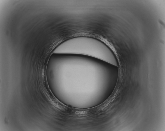 X0000098120057200804040832