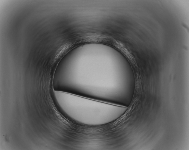 X0000098120058200804040832