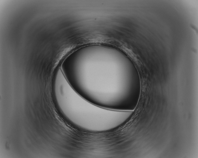 X0000098120060200804040832