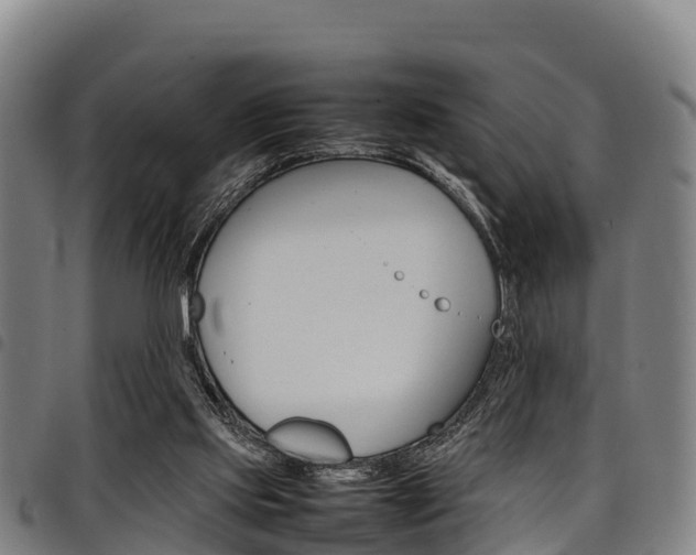 X0000098120061200804040833