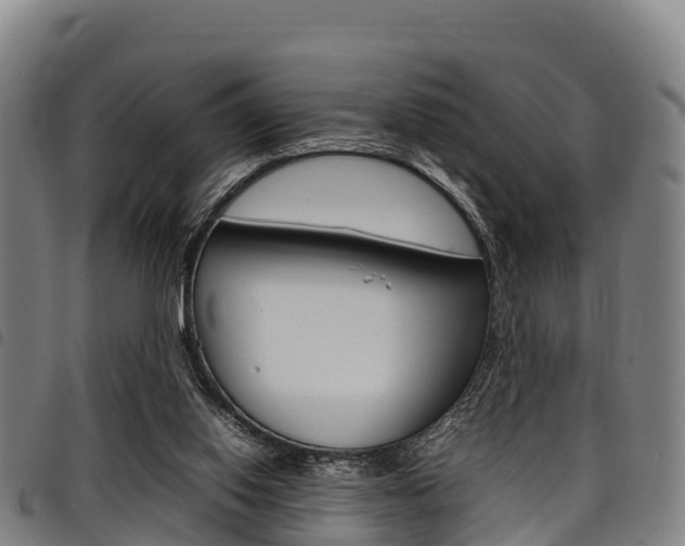 X0000098120062200804040833