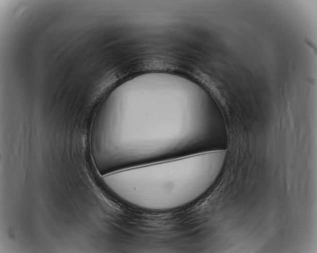 X0000098120063200804040833
