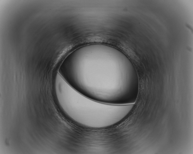 X0000098120064200804040833