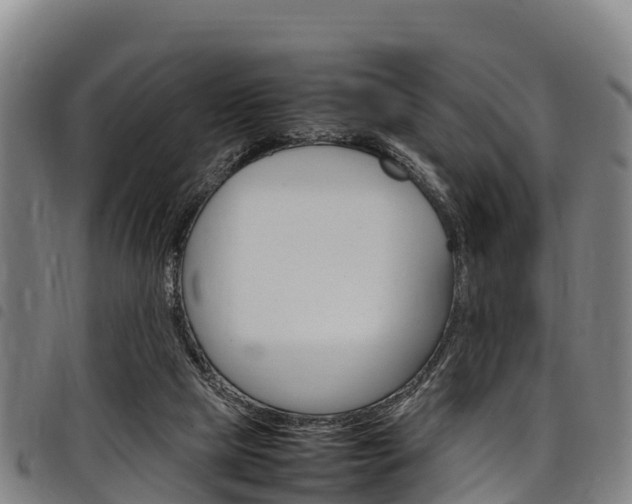 X0000098120065200804040833