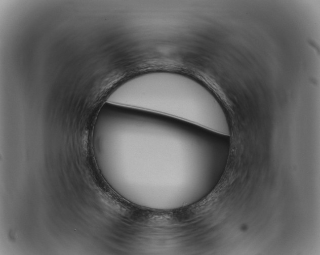 X0000098120066200804040833