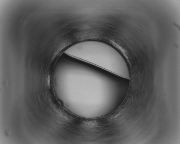 X0000098120067200804040833