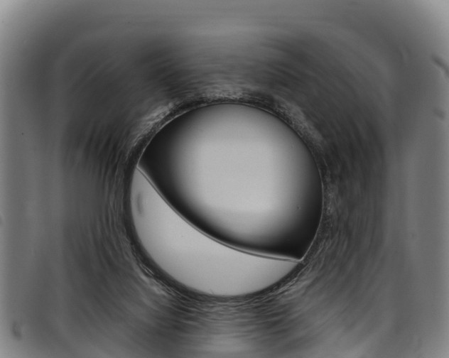 X0000098120068200804040833
