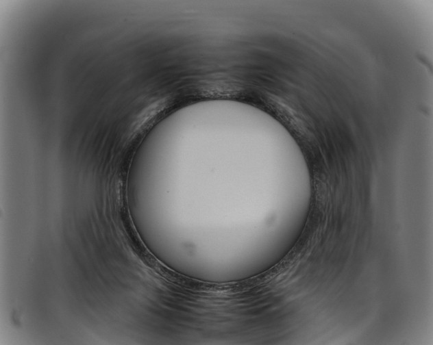 X0000098120071200804040833
