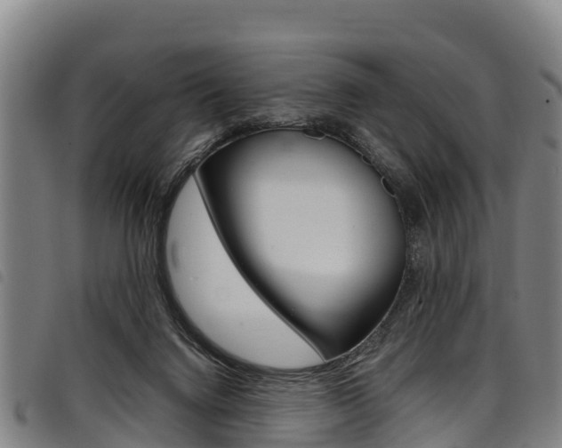 X0000098120072200804040833