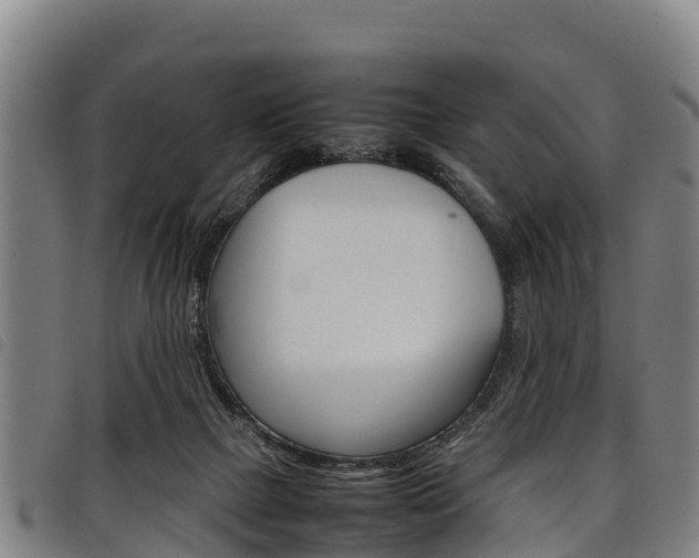 X0000098120073200804040833
