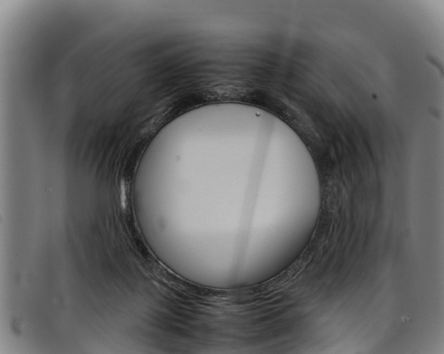 X0000098120075200804040833