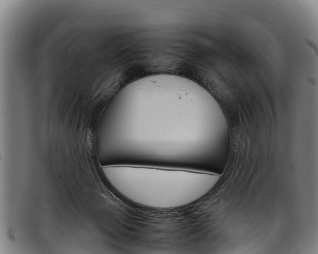 X0000098120077200804040833