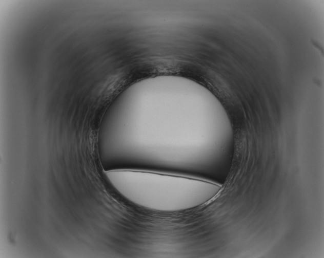 X0000098120078200804040833