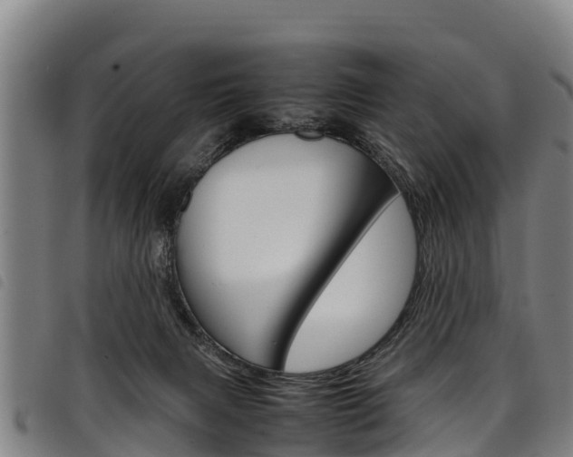X0000098120079200804040833