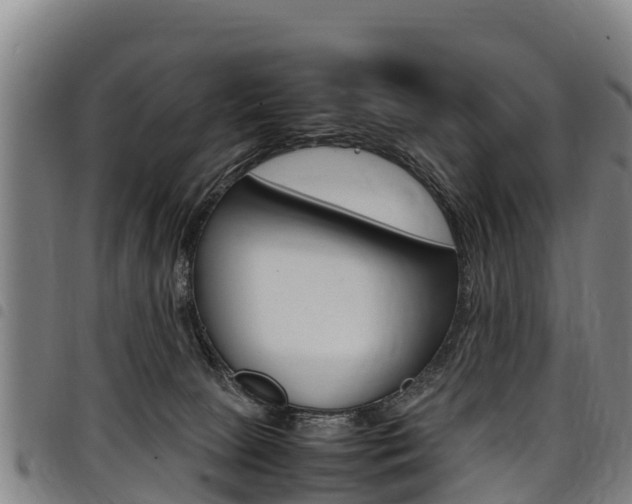 X0000098120081200804040833