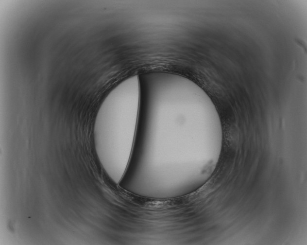 X0000098120082200804040833