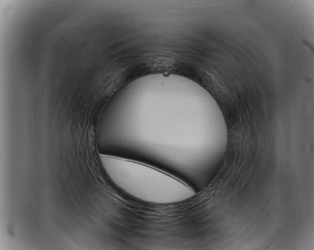 X0000098120083200804040833
