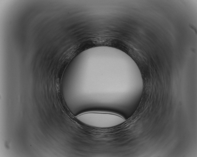 X0000098120085200804040833