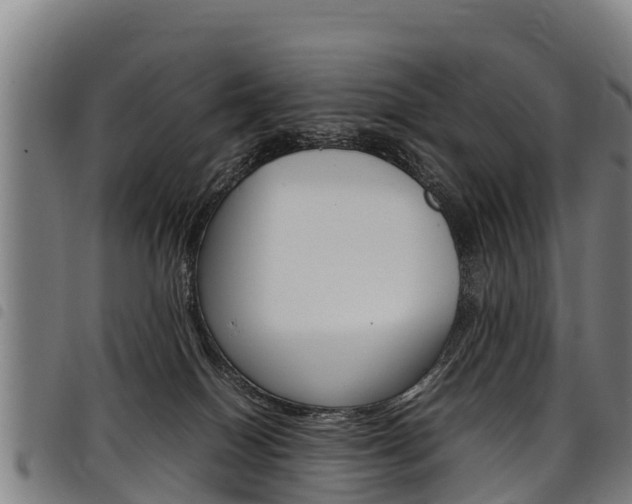 X0000098120086200804040833