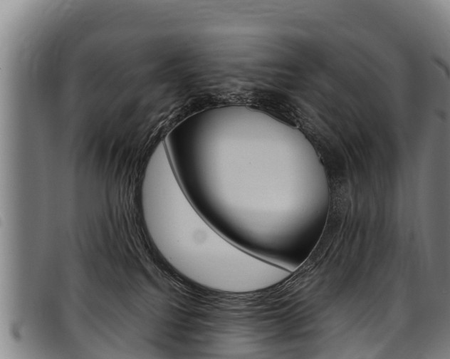 X0000098120088200804040833