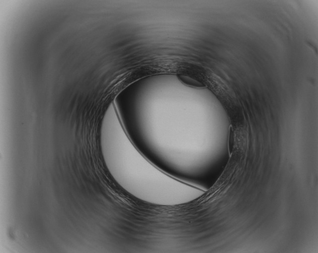 X0000098120092200804040833