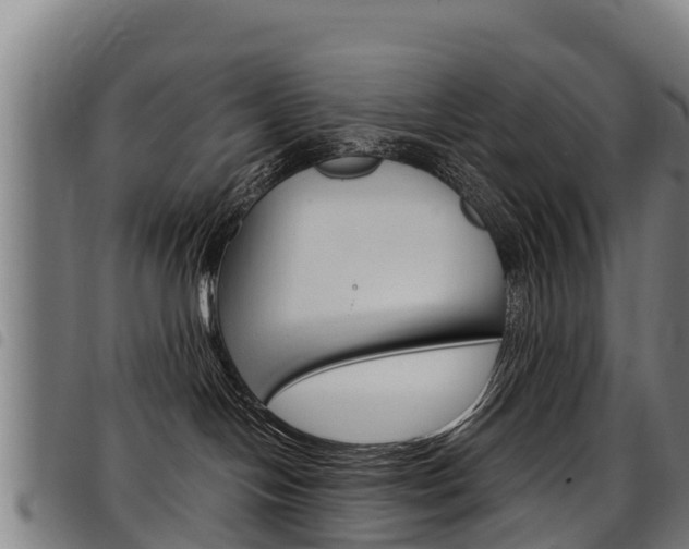 X0000098120094200804040833