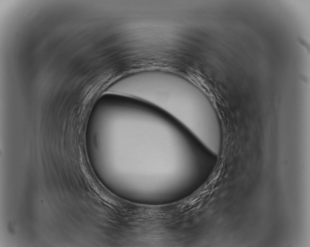 X0000098120097200804040832