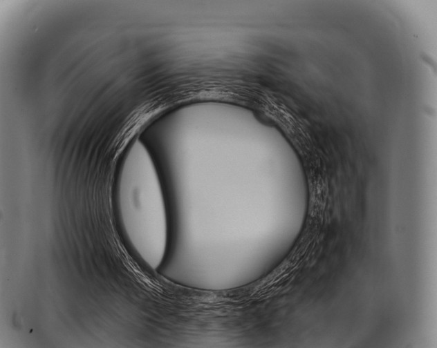 X0000098120098200804040832