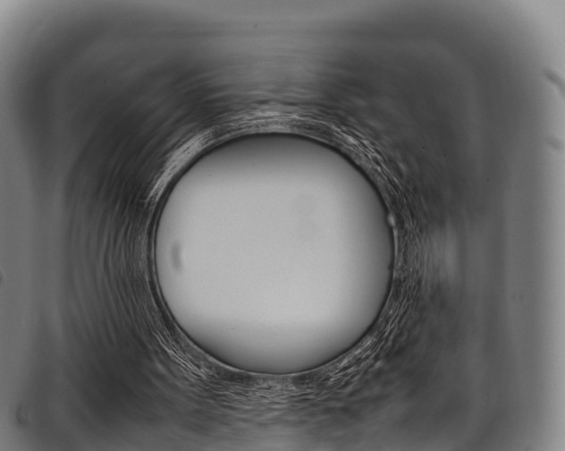 X0000098120099200804040832