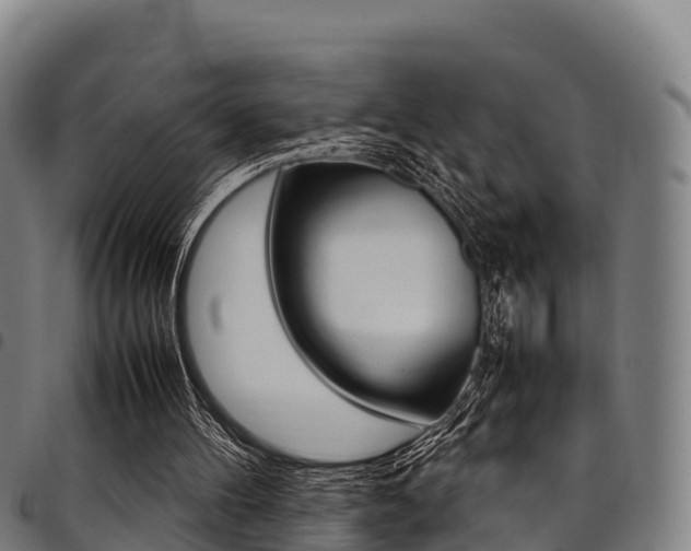 X0000098120100200804040832