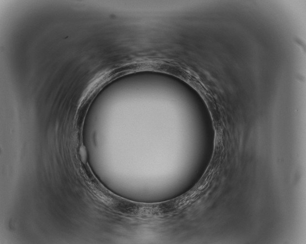 X0000098120101200804040832