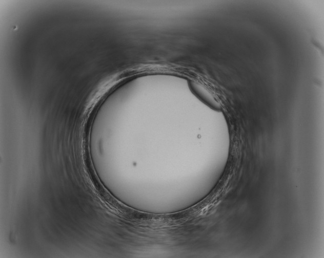 X0000098120103200804040832