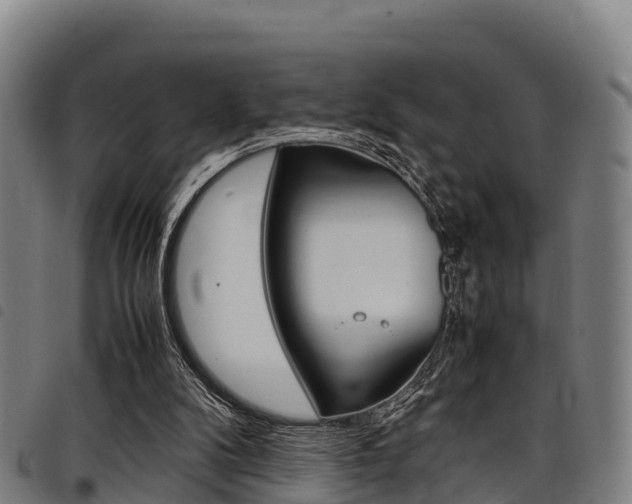 X0000098120104200804040832