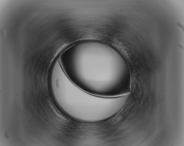 X0000098120108200804040832