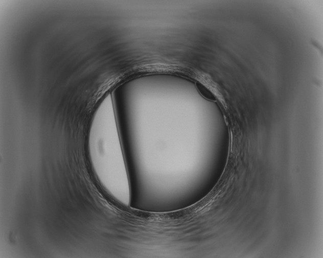 X0000098120109200804040832